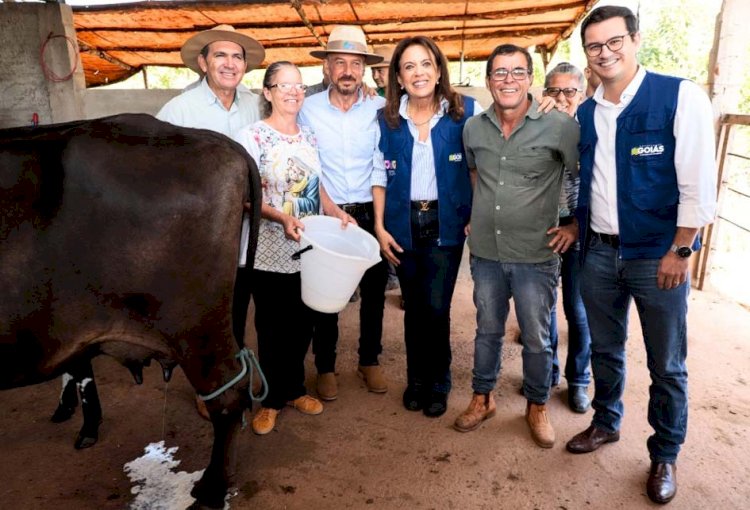 CAMPO: Governo de Goiás abre inscrições para o PAA Leite