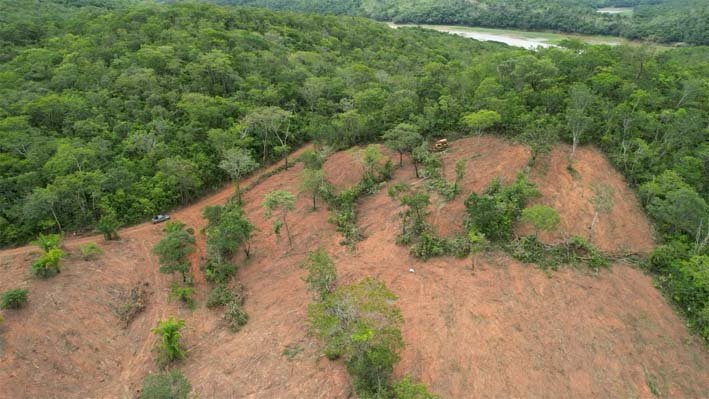 Desmatamento cai 48,8% em Goiás, maior redução desde 2001